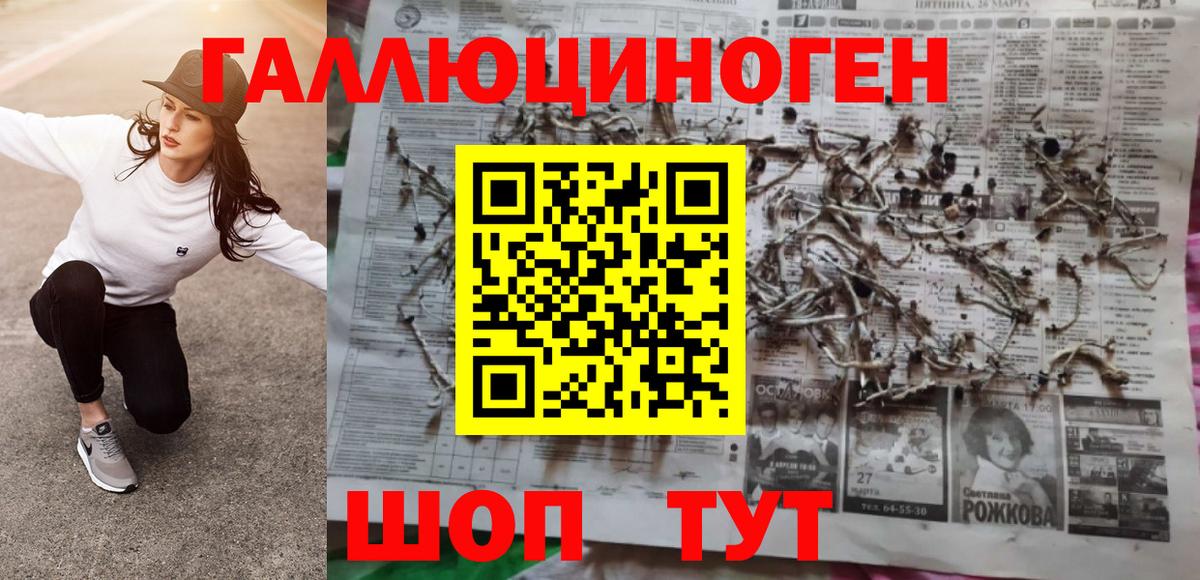 Псилоцибиновые грибы Cubensis Красногорск