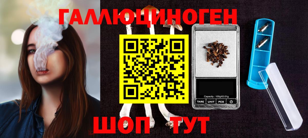 Красногорск  Галлюциногенные грибы MAGIC MUSHROOMS  Псилоцибиновые грибы Cubensis  Вход с VPN 